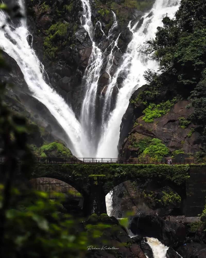 Dudhsagar Waterfall Package By Car